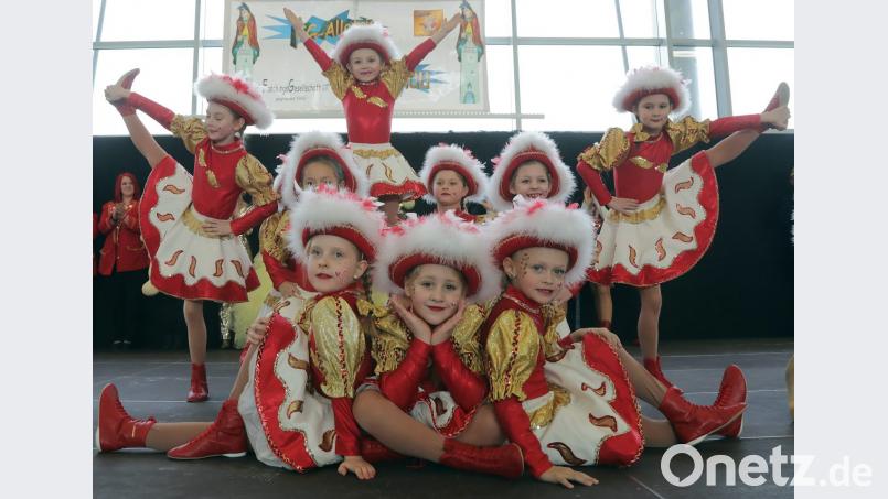 Die Narrhalla Rot-Gelb-Amberg lieferte eine tolle Leistung ab. Bild: Wolfgang Steinbacher