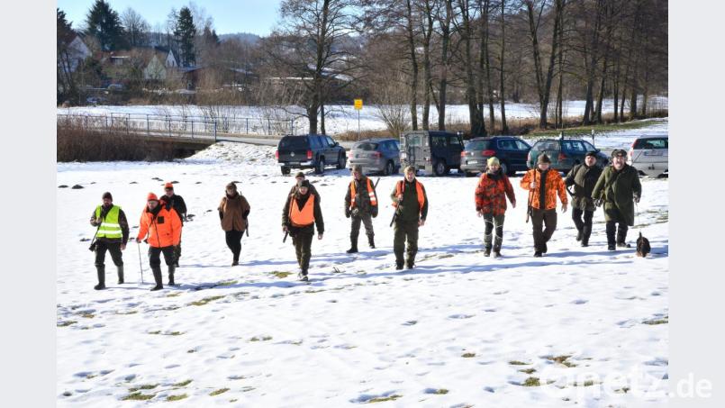Nahe der Kreisstraße nach Miesbrunn ziehen die Jäger noch in der Kette los, um sich später am Waldrand nahe der Ausgänge der Fuchsbauten zu positionieren. Mit dabei ist Hündin "Sora", die helfen soll, Meister Reineke aus seinem Bau zu treiben. Bild: bey
