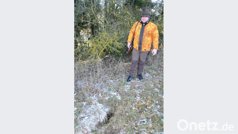 Jagdpächter MIchael Kraus zeigt eine fast unscheinbare Öffnung im Boden, die dem Fuchs als Ein- und Ausgang zu seinem Bau dient. Zur möglichen Abgabe des Schusses entfernt sich der Jäger dann von dem Erdloch. Bild: bey