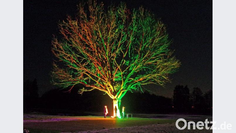 Baum im Rampenlicht beim Winterzauber. Bild: Dobmeier