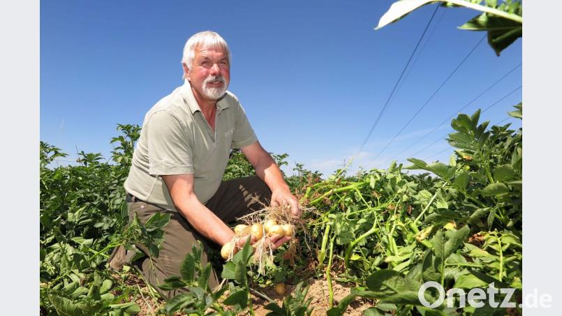 &quot;Wachsen oder weichen&quot;. Vor diese Alternative werden immer mehr Landwirte gestellt. Bild: Hirsch