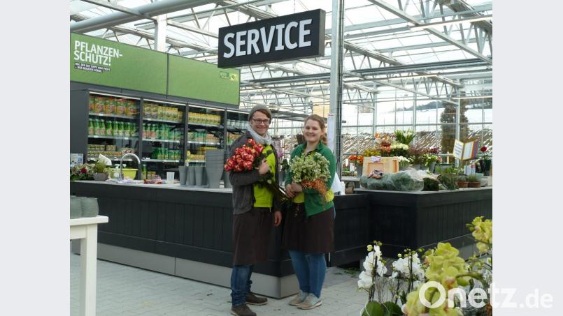 Das Floristik-Team belegt noch die künftige Beratungstheke für Pflanzenschutz Bild: Portner