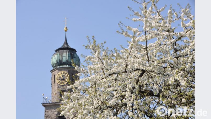 Wenn die Bäume im Frühjahr ausschlagen sind Bienen und Insekten nicht mehr weit. Bild: dob