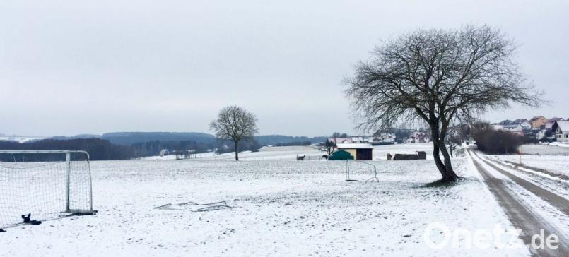 Eine Halle zur Unterbringung von Vereinsgeräten und -utensilien: Das ist der Wunsch der Feuerwehr Thurndorf. Als möglichen Standort hat der Verein das Flurstück mit der Bezeichnung „Tiergarten“ beim Sportgelände ins Auge gefasst. Jetzt sollen Verhandlungen mit Grundstückseigentümer und -pächter geführt werden. Bild: ü