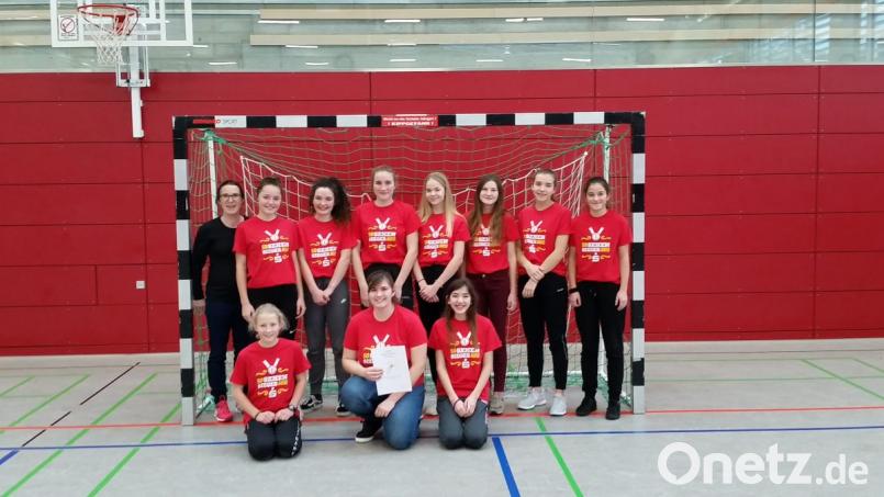 Für die Handballmädchen des Herzog-Christian-August-Gymnasiums und ihre Betreuerin Lisa Steiner geht der Traum von der Teilnahne am Oberpfalz-Finale in Erfüllung. Bild: M. Steiner