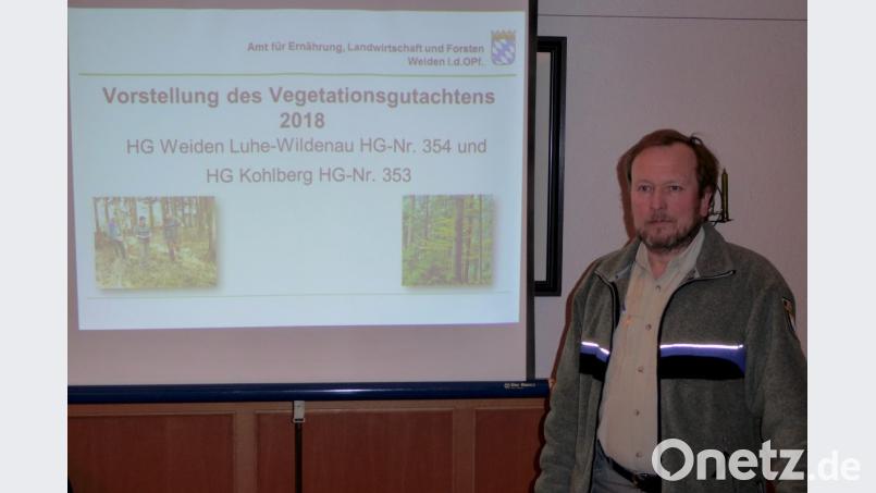Forstdirektor Moritz Neumann erläutert das Gutachten. Bild: fsb