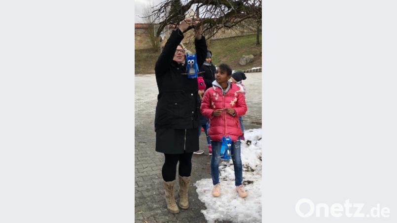 Die Vogelhäuschen der Schüler hängen nun an den Ästen. Bild: gz