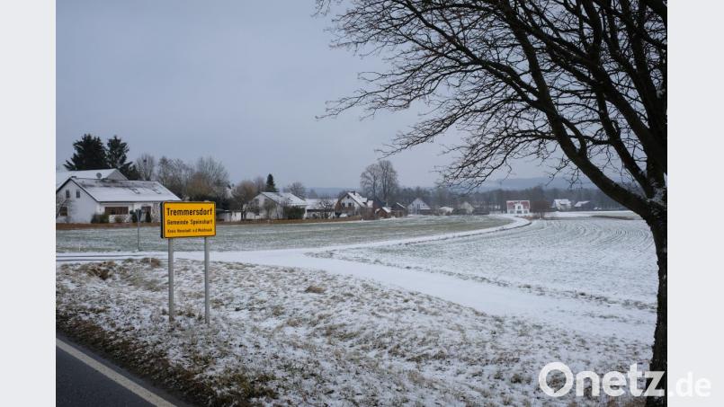 Bauplatz-Engpässe gibt es in der Klosterdorfgemeinde Speinshart nicht. Gut auf die Ortsteile verteilt entstanden und entstehen neue Baugebiete. Das Areal „Maifurt“ in Tremmersdorf mit 18 Parzellen im Gemeindeeigentum soll ab dem Frühjahr erschlossen werden. Bild: do