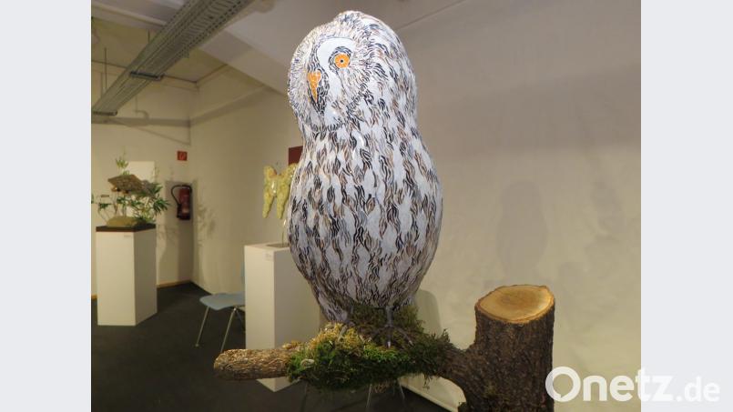 Diese Eule kann von sich sagen, dass sie ein glanzvolles Dasein hat. Bild: ubb