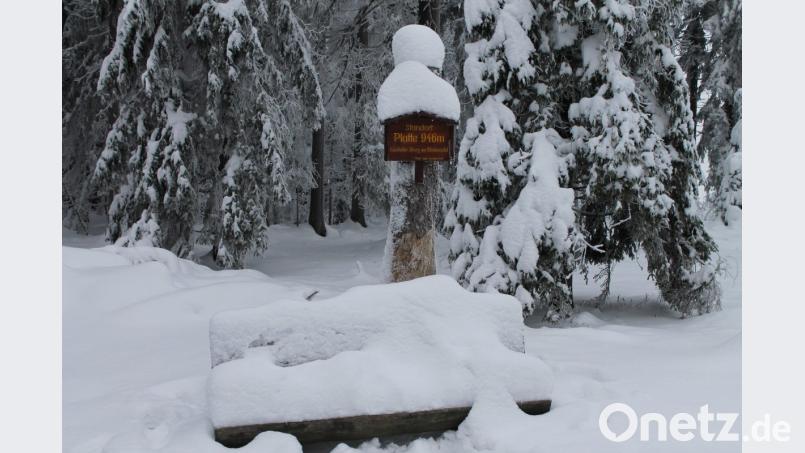 Wintertraum im Steinwald. Bild: Werner Schuster