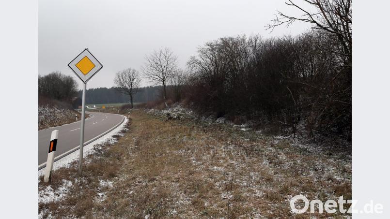 Nach sieben Jahren hat sich die Hecke teils erholt. Auf dem Stück zwischen den beiden Bäumen in der Bildmitte ist der Aufwuchs aber auch nach so langer Zeit spärlich. Bild: Hösamer