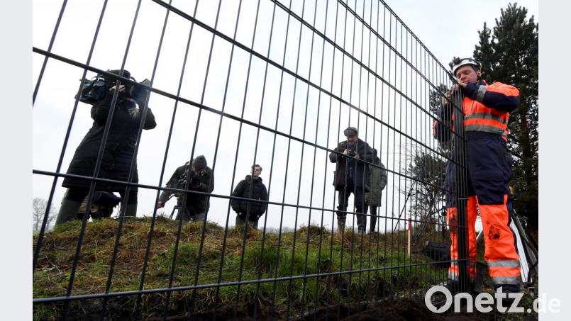 Dänemark, Padborg: Arbeiter montieren ein Zaunelement auf der Baustelle des Wildschweinzaunes. Dänemark startet hier den Bau des rund 70 Kilometer langen und rund 1,50 Meter hohen Wildschweinezauns entlang der dänisch-deutschen Grenze zur Abwehr der Afrikanischen Schweinepest (ASP). Bild:  Carsten Rehder/dpa