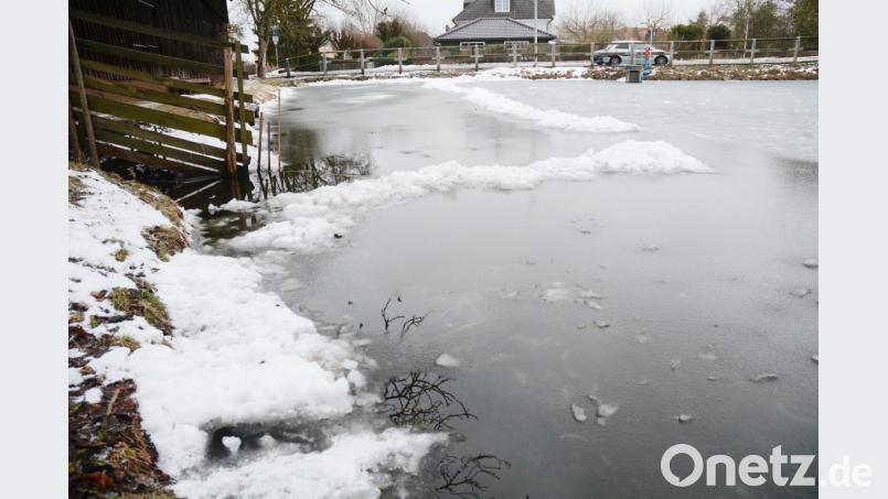 Auch in Neunkirchen ist der Weiher zugefroren, aber wohl noch nicht tragfähig. Dazu braucht es noch einige sehr kalte Tage und Nächte. Bild: gsb