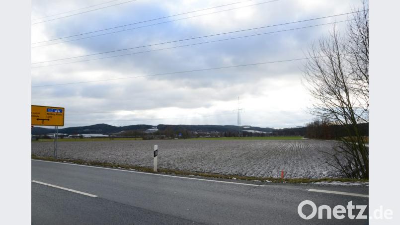 Auf der Ackerfläche im Vordergrund und der Grünfläche hinten sollen Sand und Kies abgebaut werden. Der Marktgemeinderat Luhe-Wildenau hat dazu sein Einvernehmen erteilt. Bild: bey