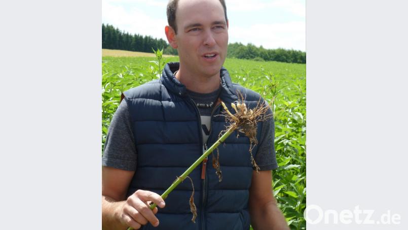 Sebastian Betz probiert gerne Neues aus und baut auch Braugerste und Topinambur auf seinen Feldern in Weiding an. Ihn ärgert die Stimmungsmache gegen die Bauern. Bild: Portner