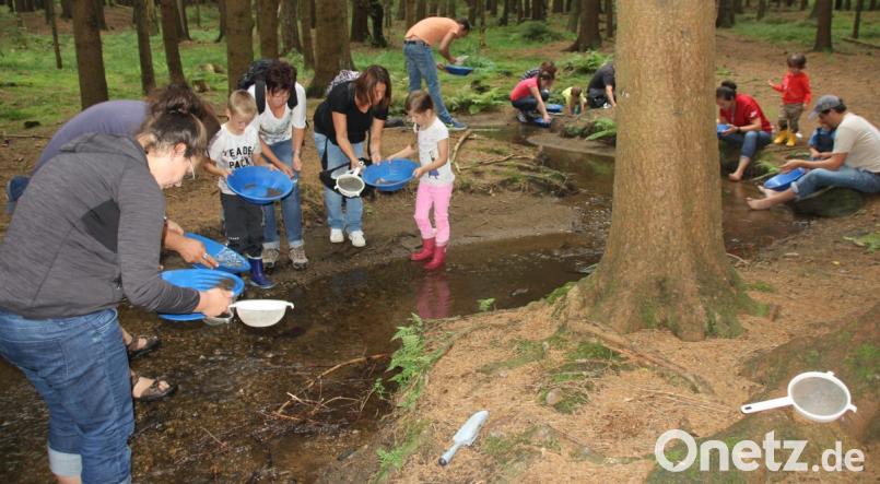 In der Langau bei Oberviechtach kann man sich bei geführten Wanderungen auf die Spuren des historischen Goldabbaus begeben und beim Goldwaschen sein Glück versuchen. Bild: frd