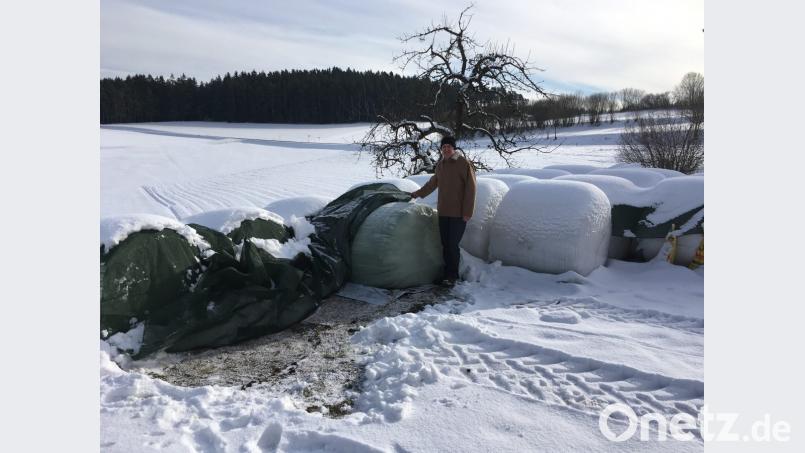 Die Silage ist deutlich geschrumpft. In fetteren Jahren lagert hier um diese Zeit noch die doppelte Menge. Josef Irlbacher geht davon aus, dass er über die Runden kommt. Bild: ihl