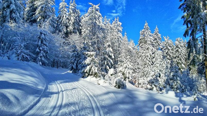 Winter im Steinwald Bild: Werner Schuster