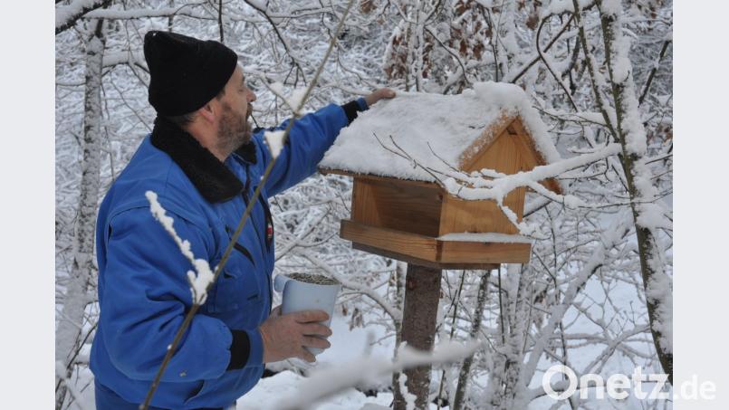 Josef Greber ist regelmäßig an den Futterhäuschen und befüllt sie hauptsächlich mit Sonnenblumenkernen. Es gibt aber auch andere Leckereien. Bild: dob