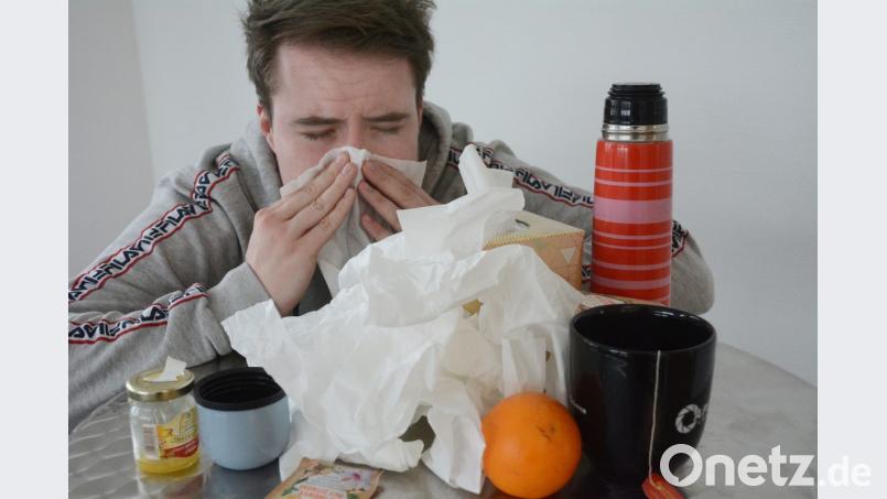 Gesundheit! Ein Wunsch, der Grippekranken nicht so schnell erfüllt wird. Im der letzten Woche des Monats stieg die Zahl der gemeldeten Influenzafälle noch einmal kräftig an. Symbolbild: Gabi Schönberger