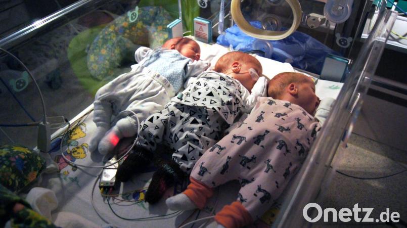 Die Drillinge David, Nico und Ella (von links) schlafen friedlich – bald dürfen sie die Klinik St. Hedwig verlassen. Bild: Julia Gergovich