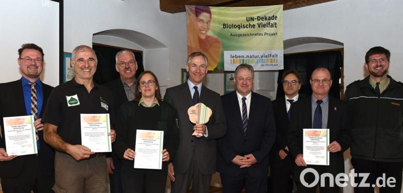 Das Fledermaus-Projekt wurde von der UN-Dekade Biologische Vielfalt ausgezeichnet. Von links: Florian Junker, Rudolf Leitl, Andreas von Lindeiner, Desiree Schwers, Christian Barth, Richard Reisinger, Christoph Reichelt (Regierung der Oberpfalz), Norbert Schäffer und Lothar Schmid. Bild: Petra Hartl