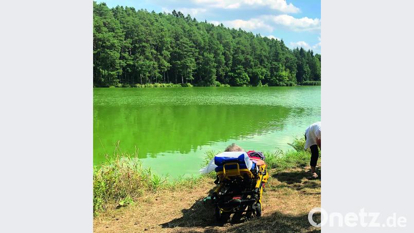Erfüllung von letzten Wünschen
Herzenswunsch-Hospizmobil Bild: exb