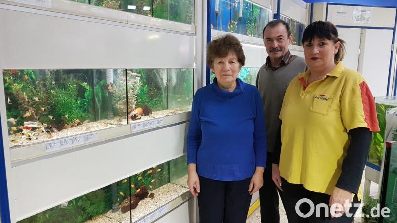 Margareta und Walter Gloßner (von links) haben den Zoo Friedel Jahrzehnte lang geführt. Christine Bovery arbeitet seit 1991 im Geschäft. Wie es ab Ende März weitergeht, ist noch unklar. Die Inhaber suchen derzeit noch nach einem Nachfolger. Gespräche laufen aktuell. Bild: Christopher Dotzler
