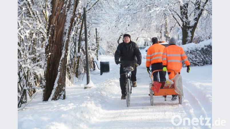 Begegnung im Weidener Max-Reger-Park. Ob der Radler die Winterreifen aufgezogen hat? Bild: Gabi Schönberger