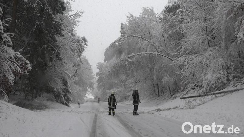 Die Einsatzkräfte in der Oberpfalz hatten mit umgestürzten Bäumen und verschneiten Straßen zu kämpfen. Bild: Alexander Auer