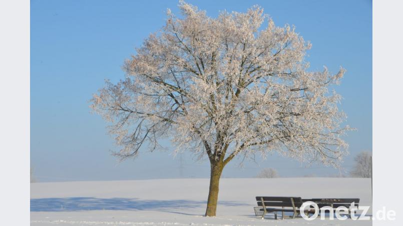 Sitzbank an der Sonne. Bild: dob