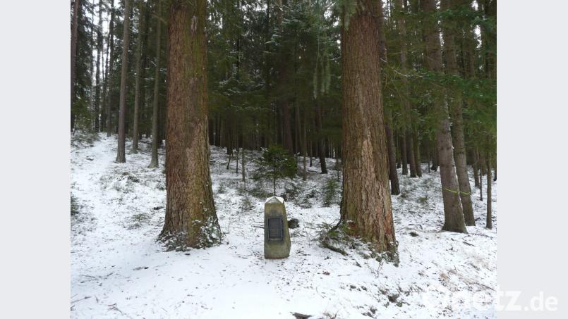 Das Pürner-Denkmal wird von zwei mächtigen Douglasien gesäumt. Bild: exb