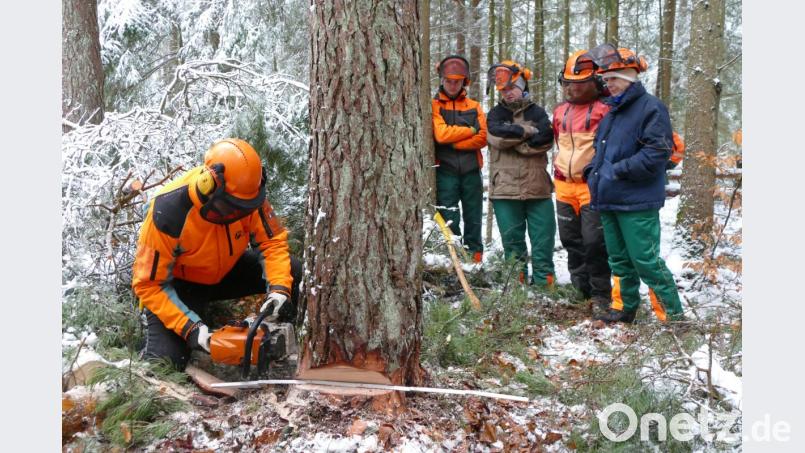 Unter fachkundiger Anleitung probierten die Teilnehmer selbst das richtige Fällen eines Baumes mit Handhabung der Motorsäge aus. Bild: ibj