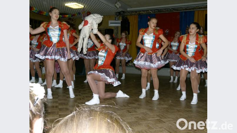 Auf dem &quot;Jahrmarkt des Lebens&quot; zähmt die Prinzengarde auch einen Löwen. Bild: rn