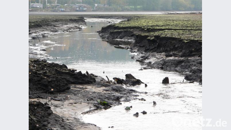 Nach dem Absenken des Wasserpegels im Rußweihers und dem anschließenden Ablassen des Obersees werden die enormen Schlammablagerungen im westlichen Teil des Freizeitsees deutlich. Bild: rn