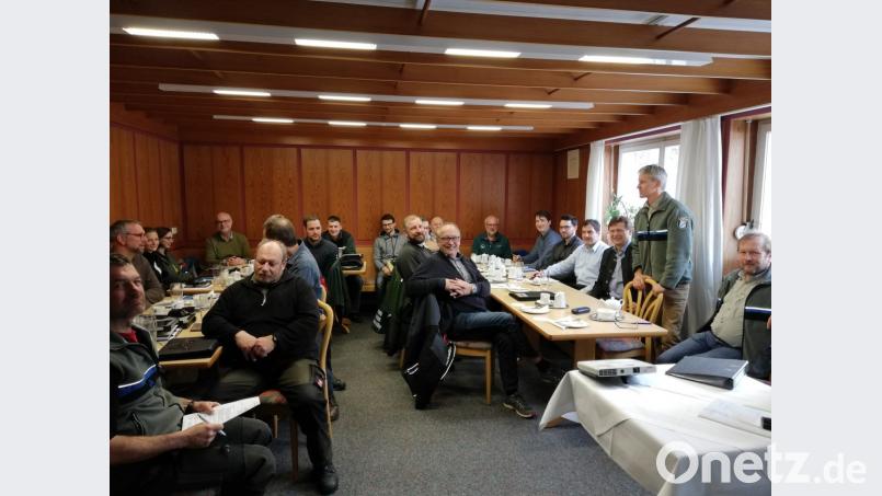 Nach dem trockenen Sommer gibt es noch mehr Borkenkäfer. Die Behörden und Waldbesitzer müssen viel enger zusammenarbeiten, heißt es beim Runden Tisch. Doch Privatwälder sind schwerer zu prüfen. Bild: exb