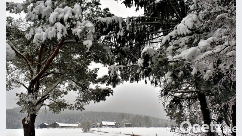 Bilder, die nur die Natur so schön malt. Bild: jml
