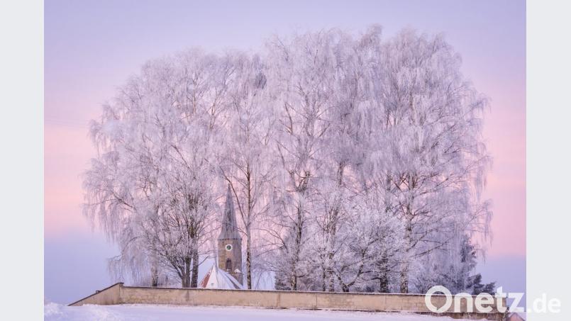 Die "kristallisierten" Bäume an der Rückseite der Friedhofsmauer der evangelischen St. Georg Kirche in Plößberg. Bild: Matthias Kunz
