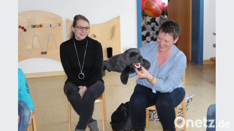 Zahnärztin Sandra Nordmann mit Seehund Goldi und Helferin Katrin Drechsler. Bild: soj