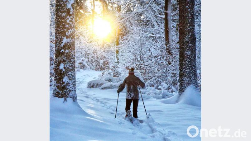 Ein Wintertraum - eine Schneehschuhwanderung rund um den Buchberg (Schnaittenbach). Bild: ind