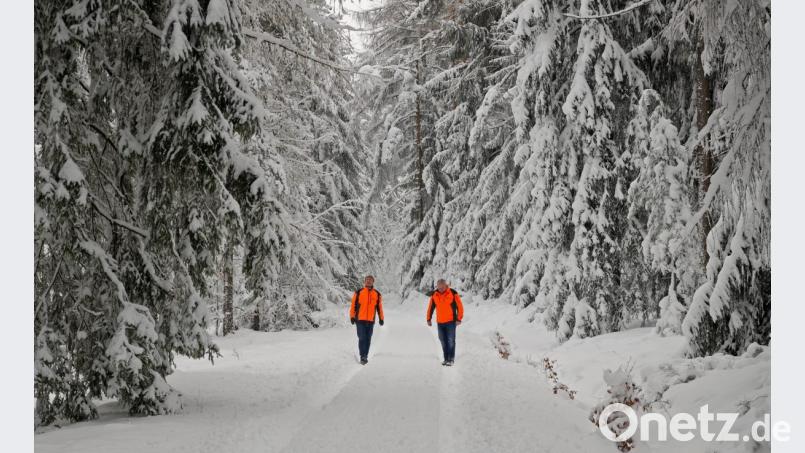 Beim Waldspaziergang auf der Forststrasse im Hochwald bei der Forstkapelle. Bild: tr