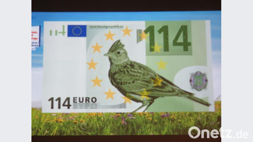 Diesen Geldschein bringt der LBV im Rahmen der Europawahl in Umlauf. 114 Euro zahlt jährlich jeder EU-Bürger an Steuergeldern an die EU. "Jeder sollte deshalb auch selbst entscheiden dürfen, was mit dem Geld geschieht", so der LBV. Bild: ubb