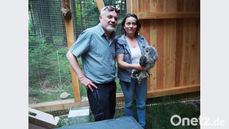 Drei wichtige Akteure für den VLAB: Vorsitzender Johannes Bradtka, die hauptamtliche Mitarbeiterin Michaela Domeyer und ein Habichtskauz (aus Plüsch). Bild: exb