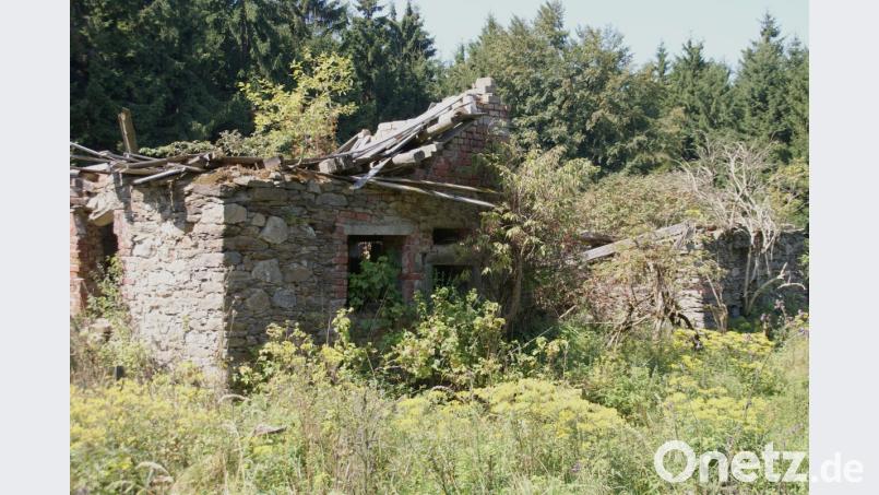 Die Ruine des "Hüttl-Hauses" im untergegangenen Ort in der Bügellohe. Die Hochschule für Kunst und Design an der Westböhmischen Universität Pilsen setzt hier im Sommer ein sogenanntes Land-Art-Projekt um. Archivbild: mmj