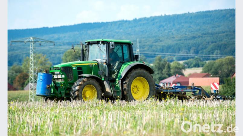 Ländliche Idylle allein reicht nicht. Aber das Zusammenspiel von Unternehmergeist, Regionalbewusstsein und kreativen ideen stärkt den ländlichen Raum. Bild: Hauke-Christian Dittrich/dpa