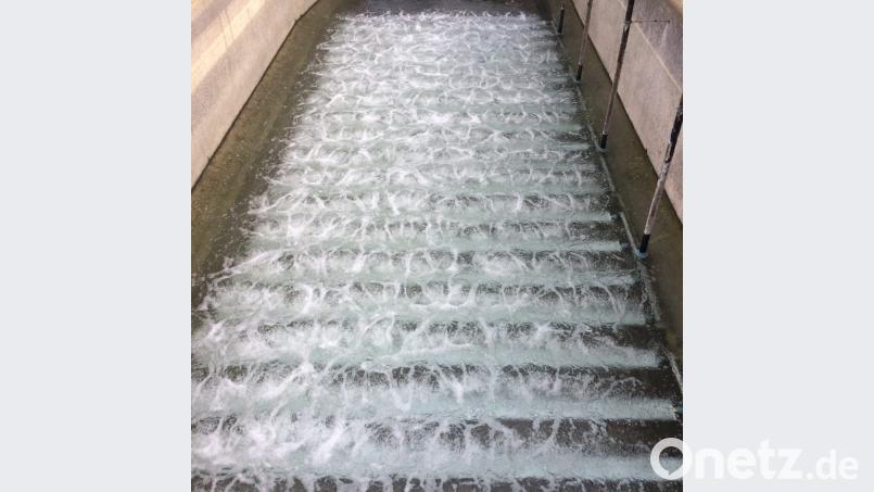 Nur kurz nach dem Einbau in die Kläranlage sind sie noch zu sehen: Die neuen Streifenbelüfter. Dann füllt sich das Becken mit Wasser und die Belüfter übernehmen ihre Aufgabe. Der Ersatzeinbau war im Jahr 2017 nicht geplant und musste dennoch finanziiell bewältigt werden. Die Kosten für den Einbau können über die Gebühren abgerechnet werden. Bild: bey