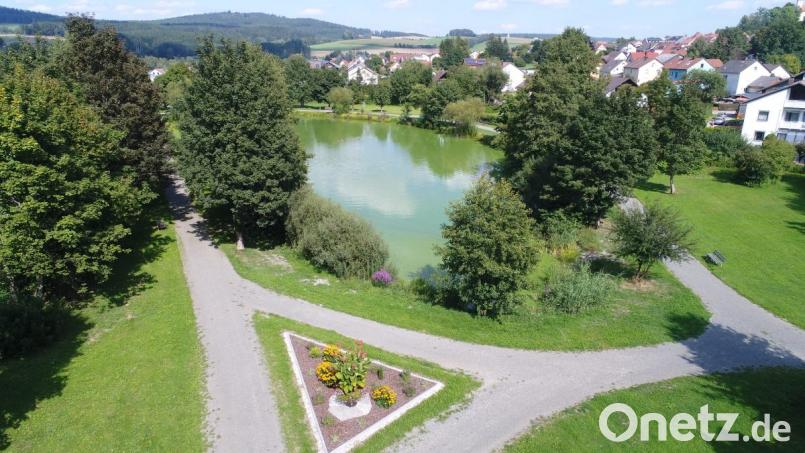 Die Wiesen um den Herrnpointweiher sollten nach den Vorstellungen der Freien Wähler weniger gemäht werden und vielmehr als Blühwiesen und Blühflächen dem Betrachter ins Auge fallen. Bild: bey