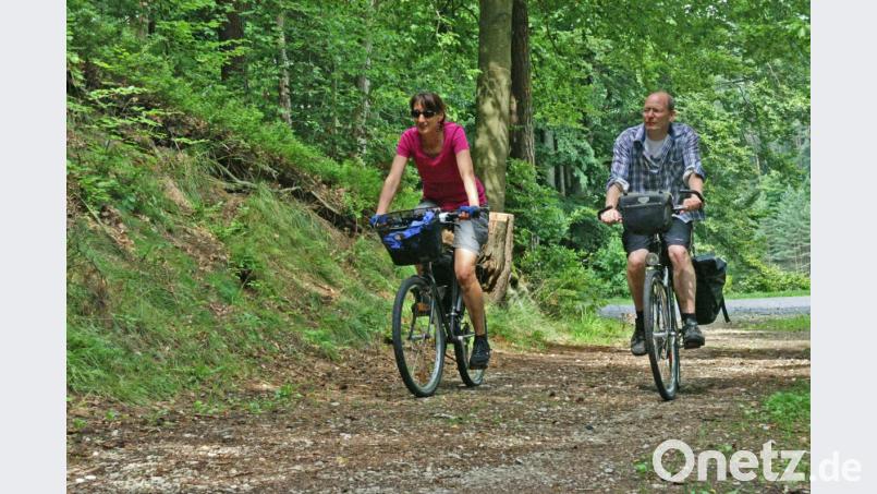 Das Angebot für Radfahrer möchten die Neunburger Touristiker noch weiter ausbauen. Dabei wird unter anderem auf Themen-Radtouren durch den Oberpfälzer Wald gesetzt. Bild: Mardanow