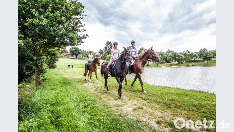 Auch im vergangenen Jahr war die Stadt Neunburg das bevorzugte Urlaubsziel im Landkreis Schwandorf. Zu den gefragtesten Freizeitangeboten der Urlaubs- und Feriengäste zählt das Reiten. Nicht umsonst trägt die Stadt seit einigen Jahren das Prädikat "Pferdefreundliche Gemeinde". Bild: exb/Thomas Kujat