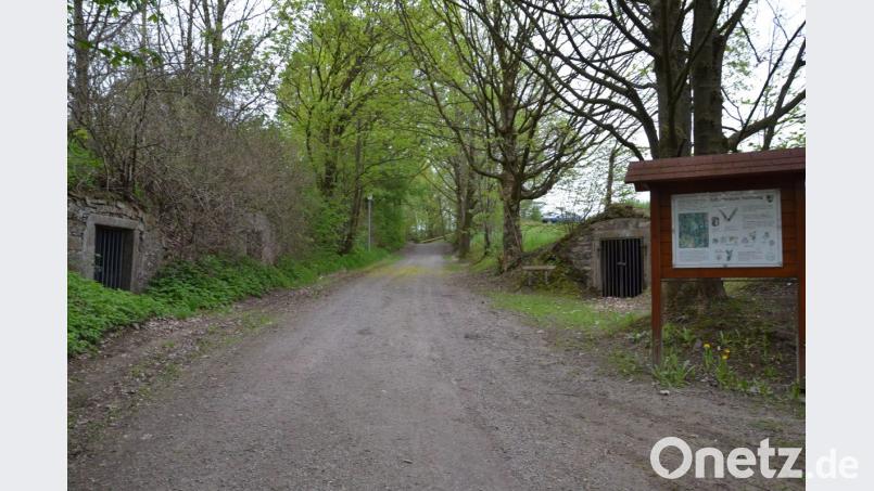 Die Keller am Zugang zum Kurpark behalten ihre Eisengitter. Das wird die Fledermäuse freuen. Archivbild: gi